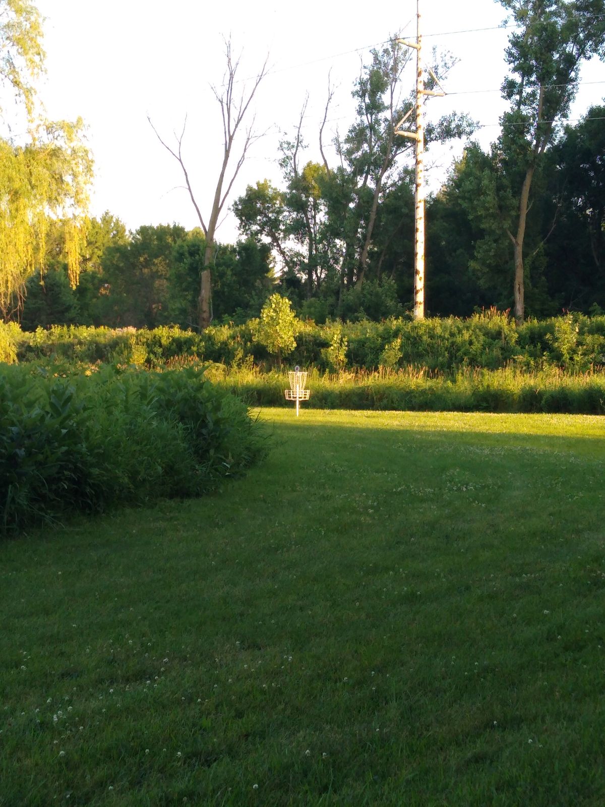 Hole 2 basket