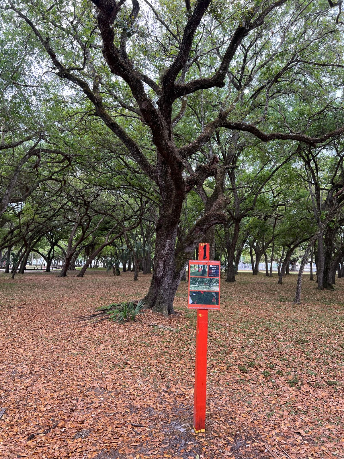Hole 1