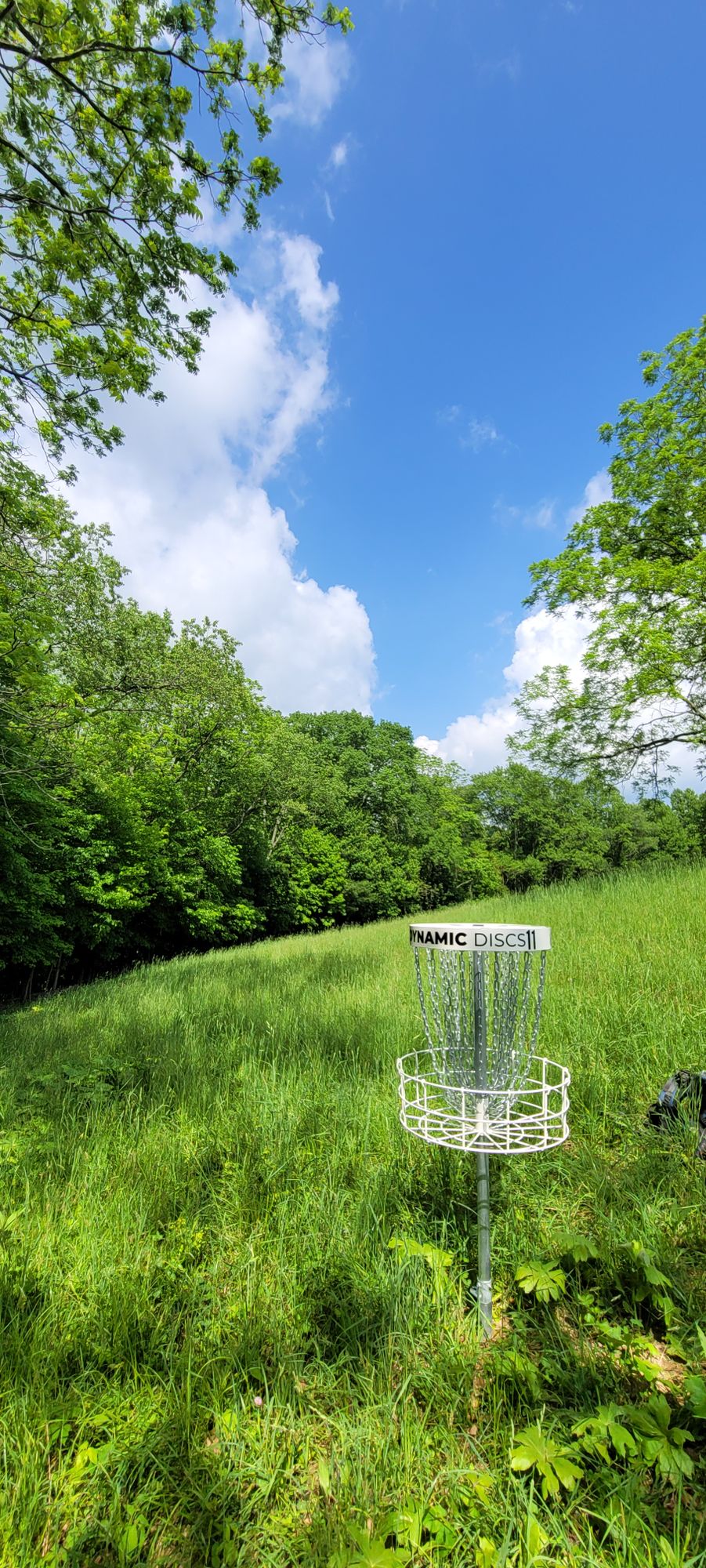 11 basket reverse down fairway