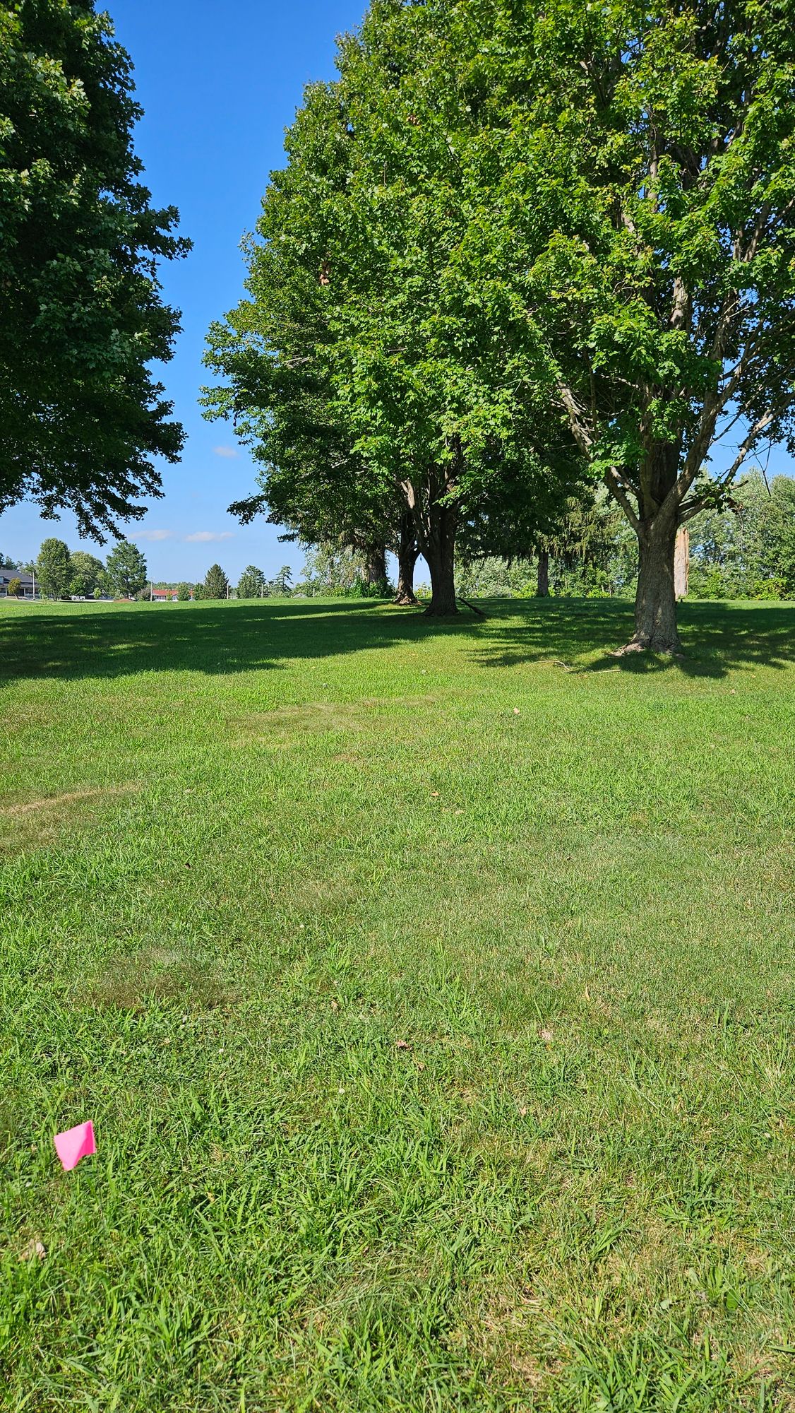Hole 12 Tee