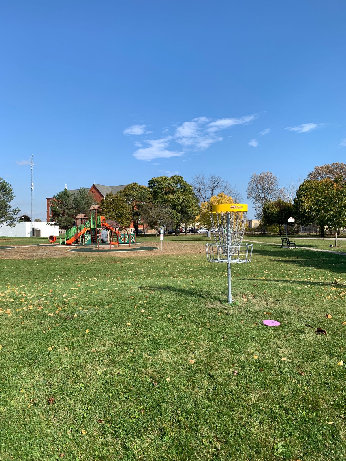 Hole 3 basket.