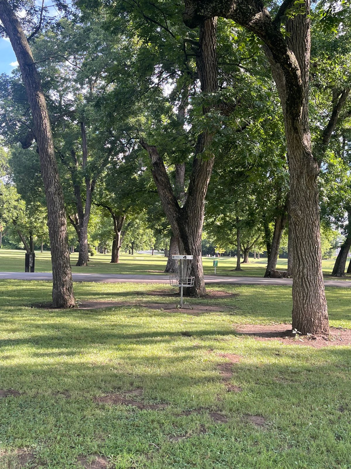 Hole 4 basket