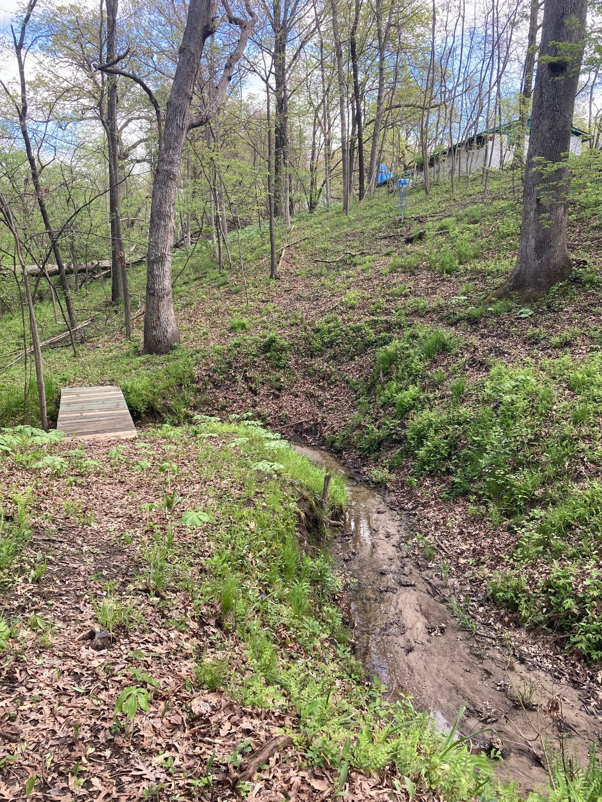 approach to Hole 6