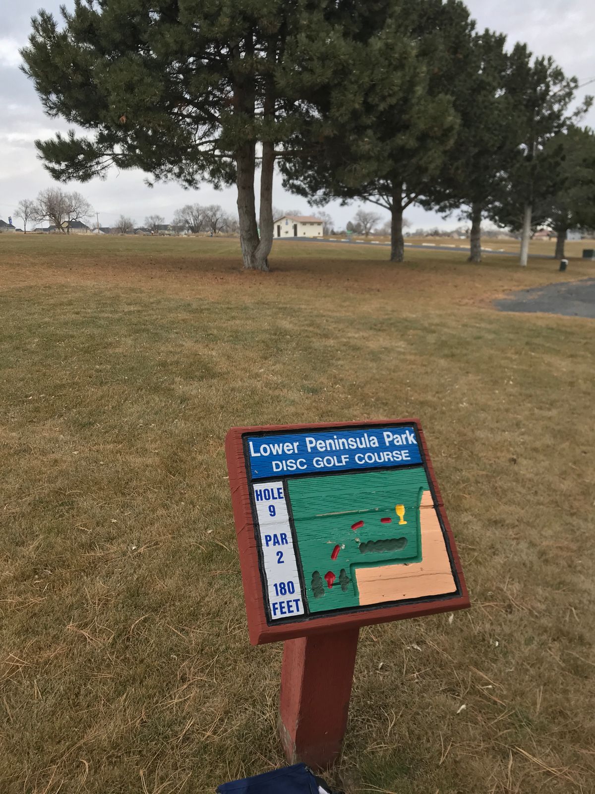 Hole 9, basket to the right of double trees.