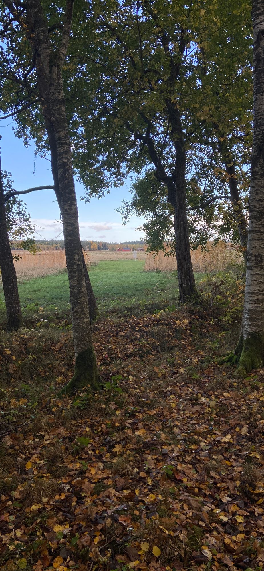 Hål 13.