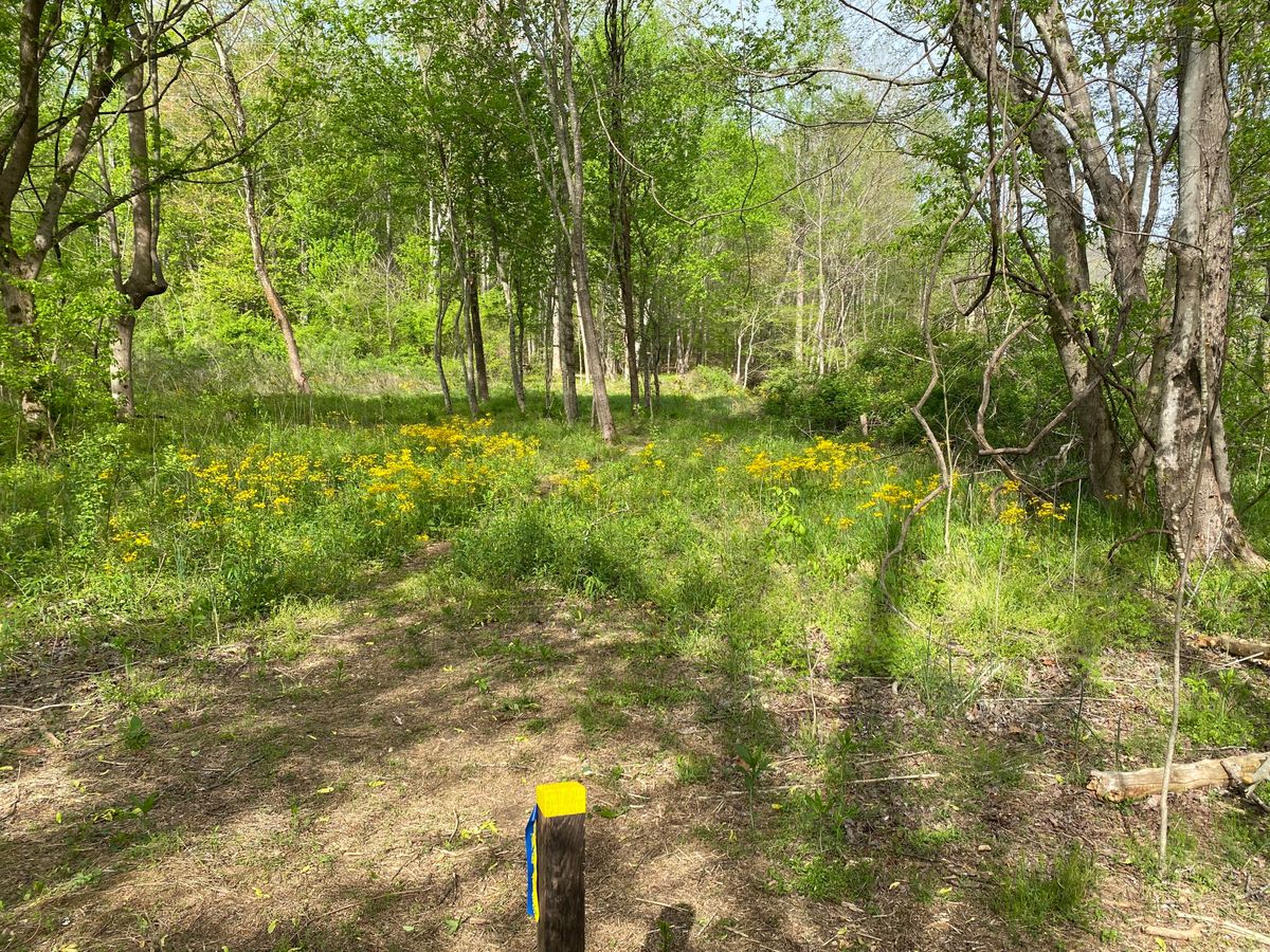 Hole 4. Water to the right.