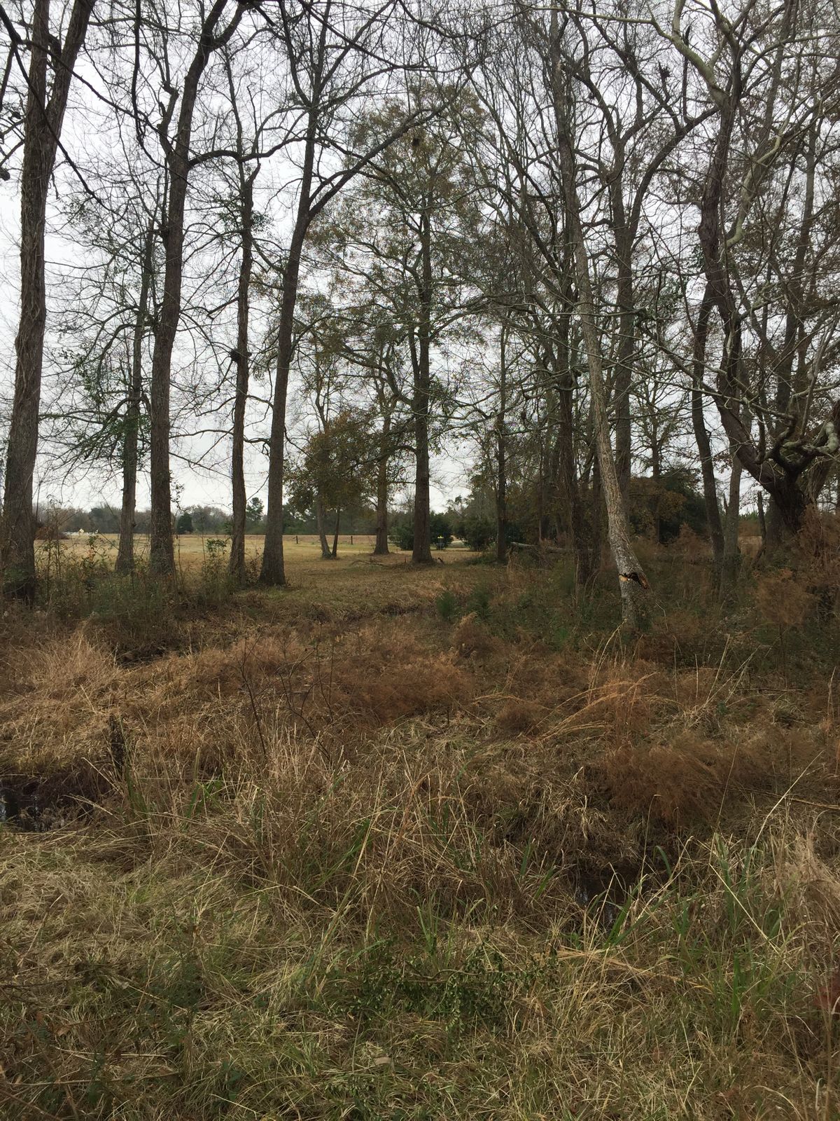 Hole 16
