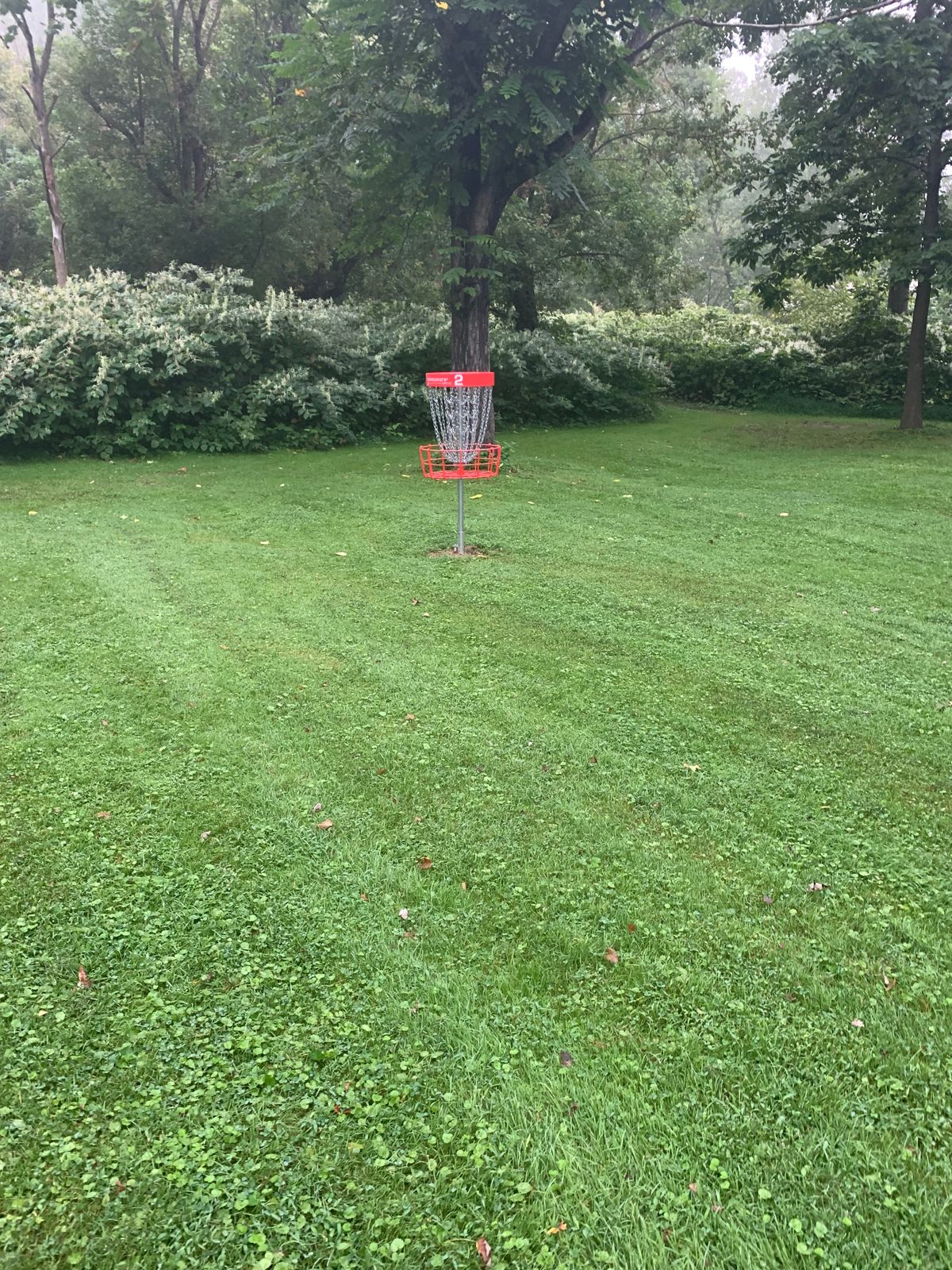 Hole #2 basket