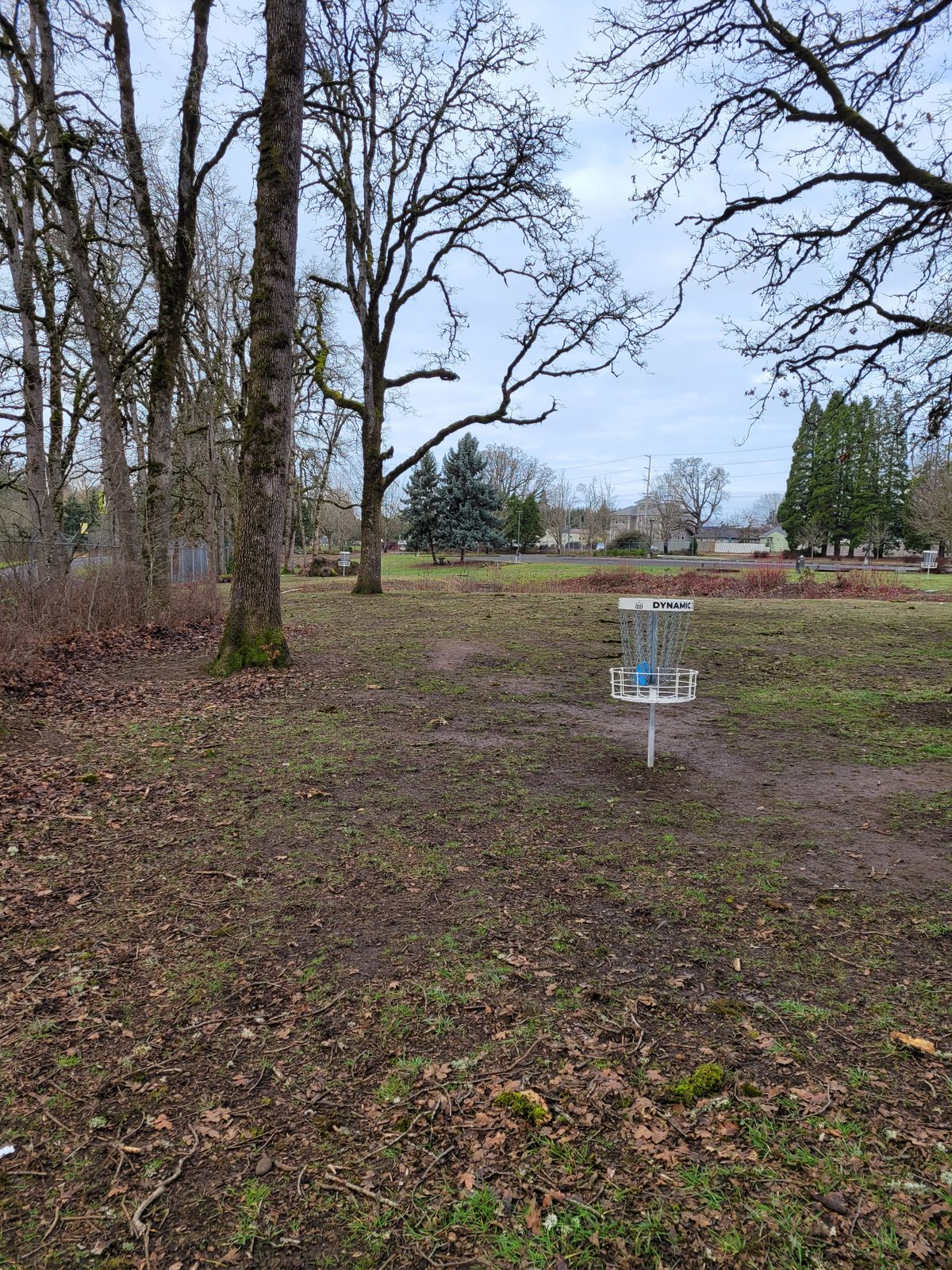 All 4 baskets are playable again. Construction seems to be done.