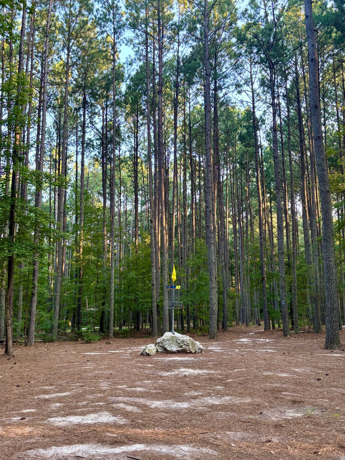 Hole 14