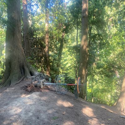 Vandals pushed hike 15 over