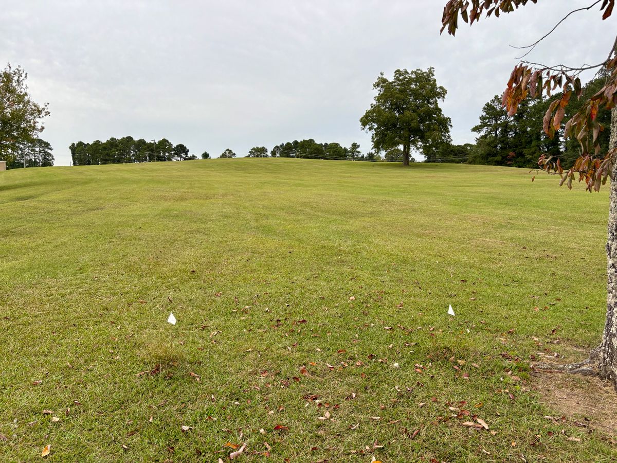 Hole 1 tee