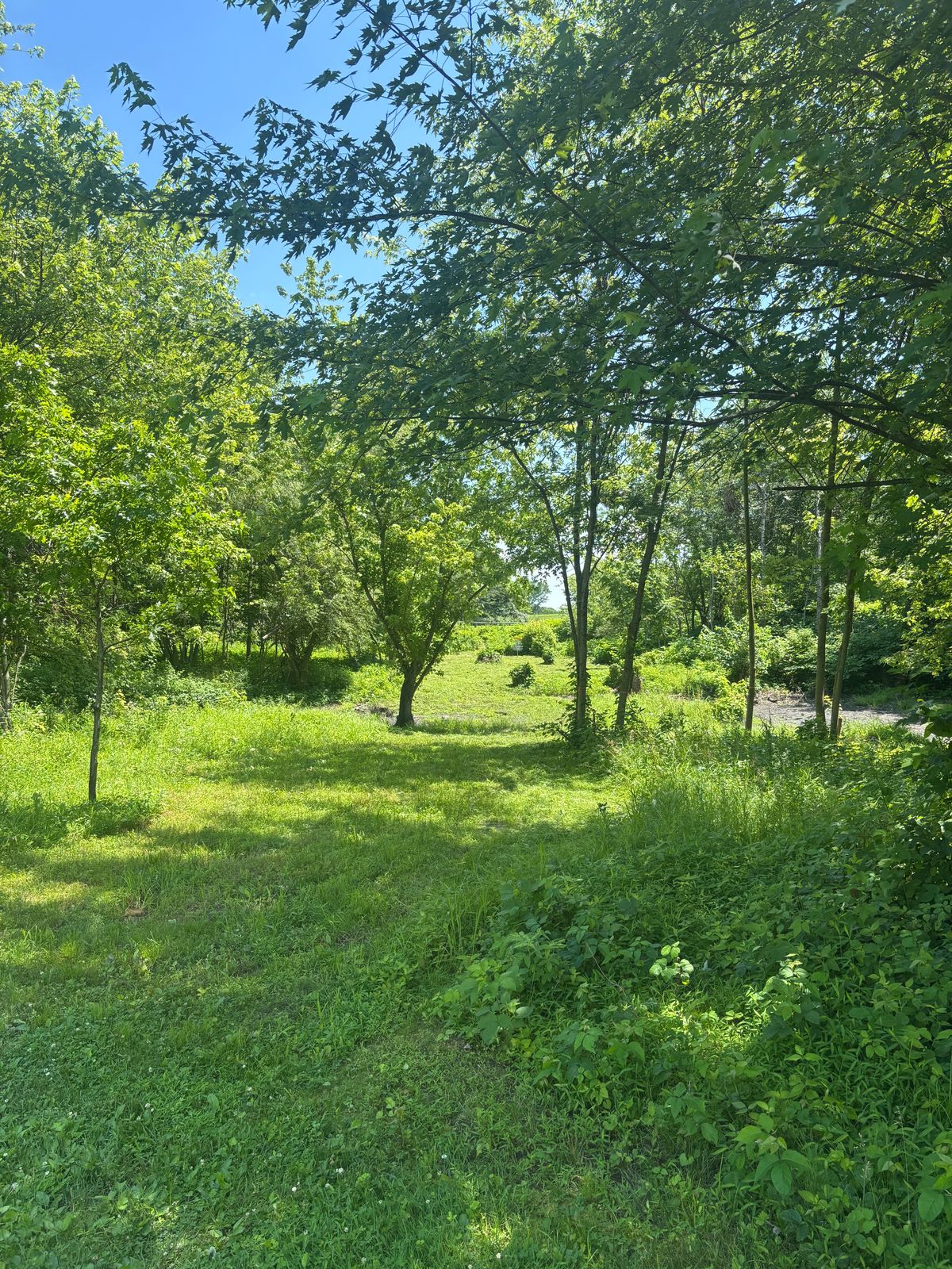 Hole 8