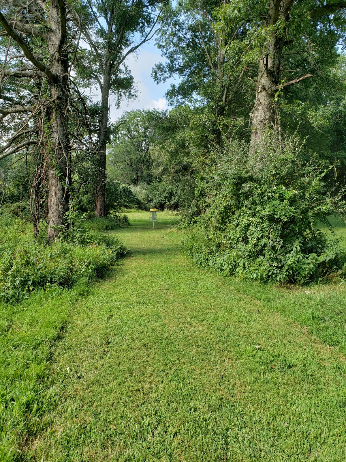 #11 Approach