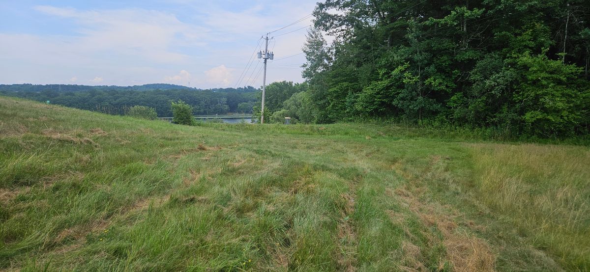 Every hole is like this, overgrown, buggy, and difficult to see goals and discs.