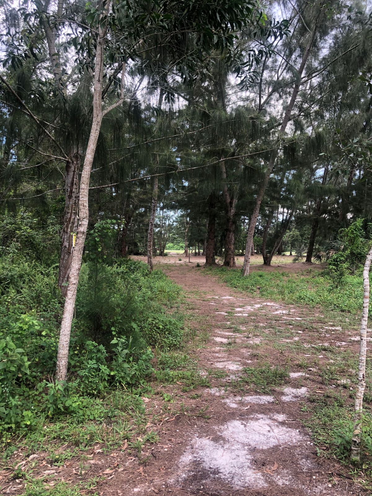 Hole 8