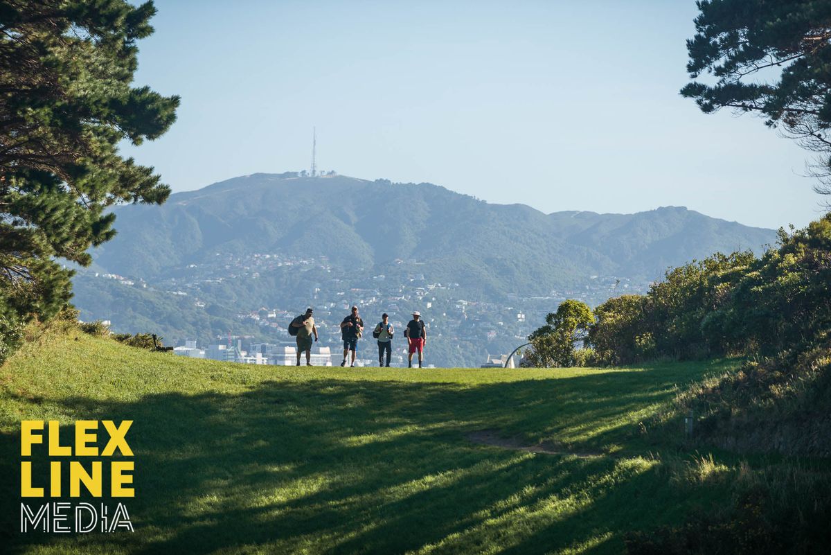 Courtesy of Flex Line Media