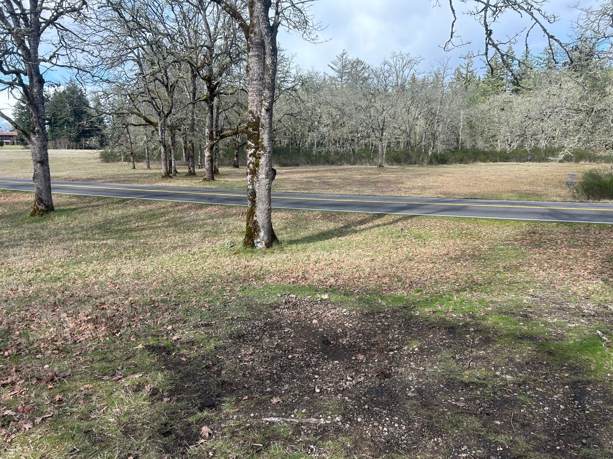 Hole 7 Teepad overlooking the area of Baskets 5, 6 and 7