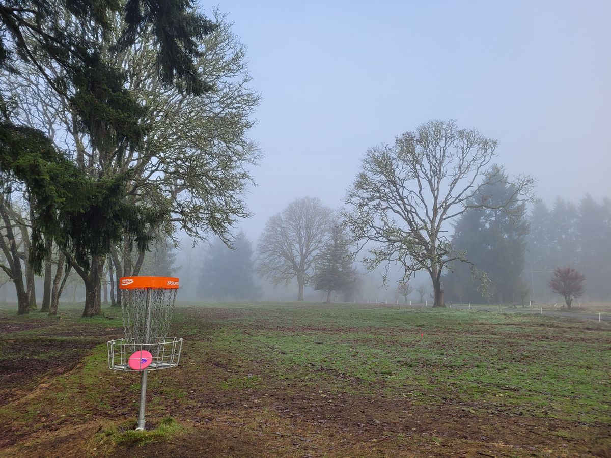 Hole 18 basket on a winter morning
