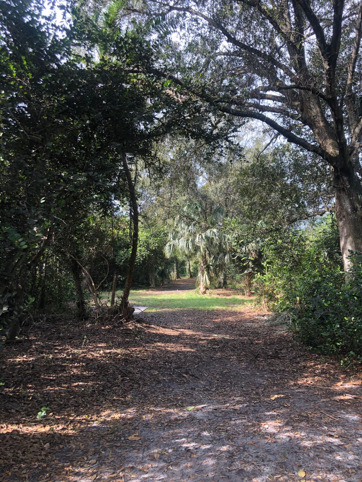 Hole 13