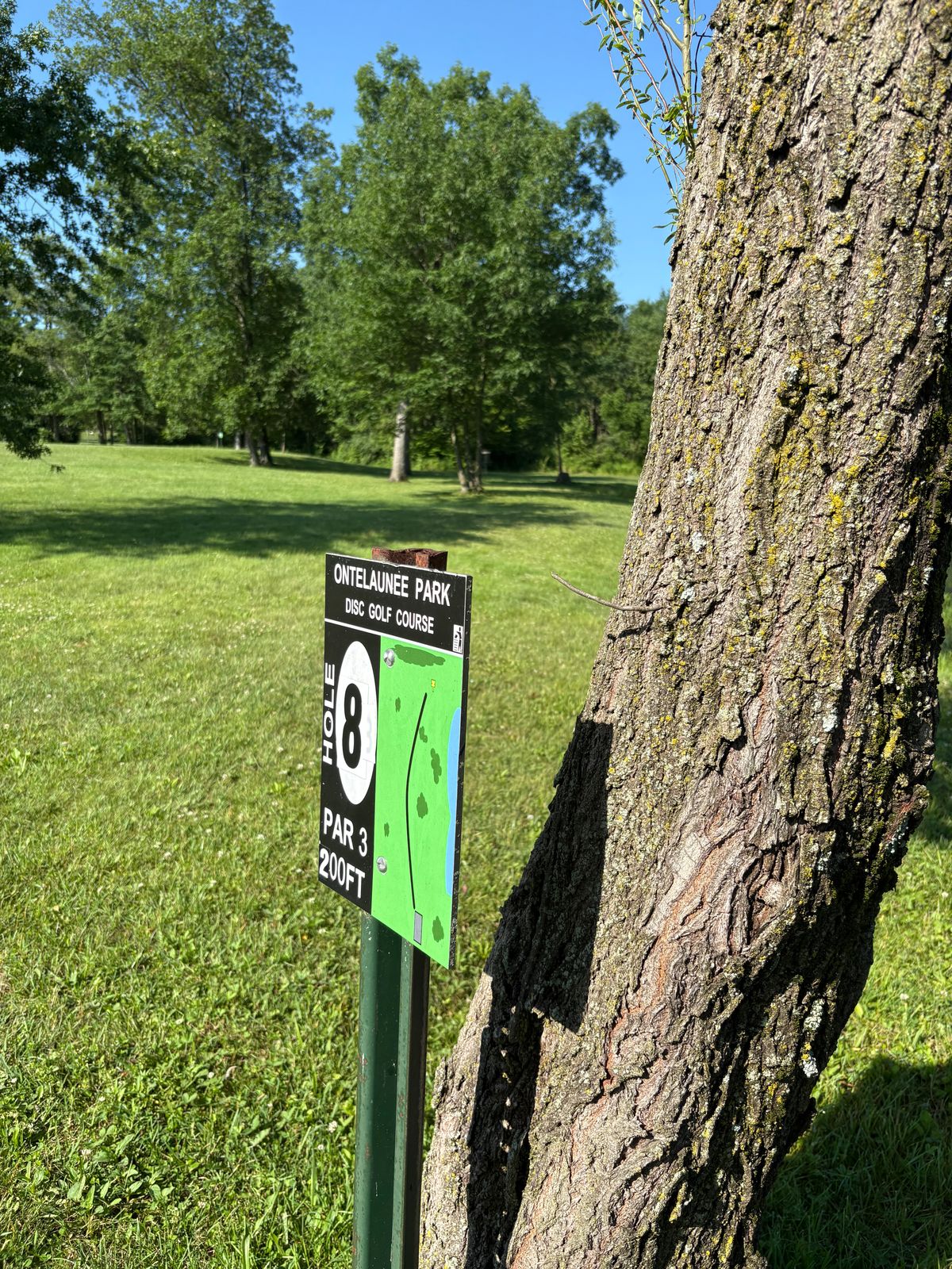 8th tee