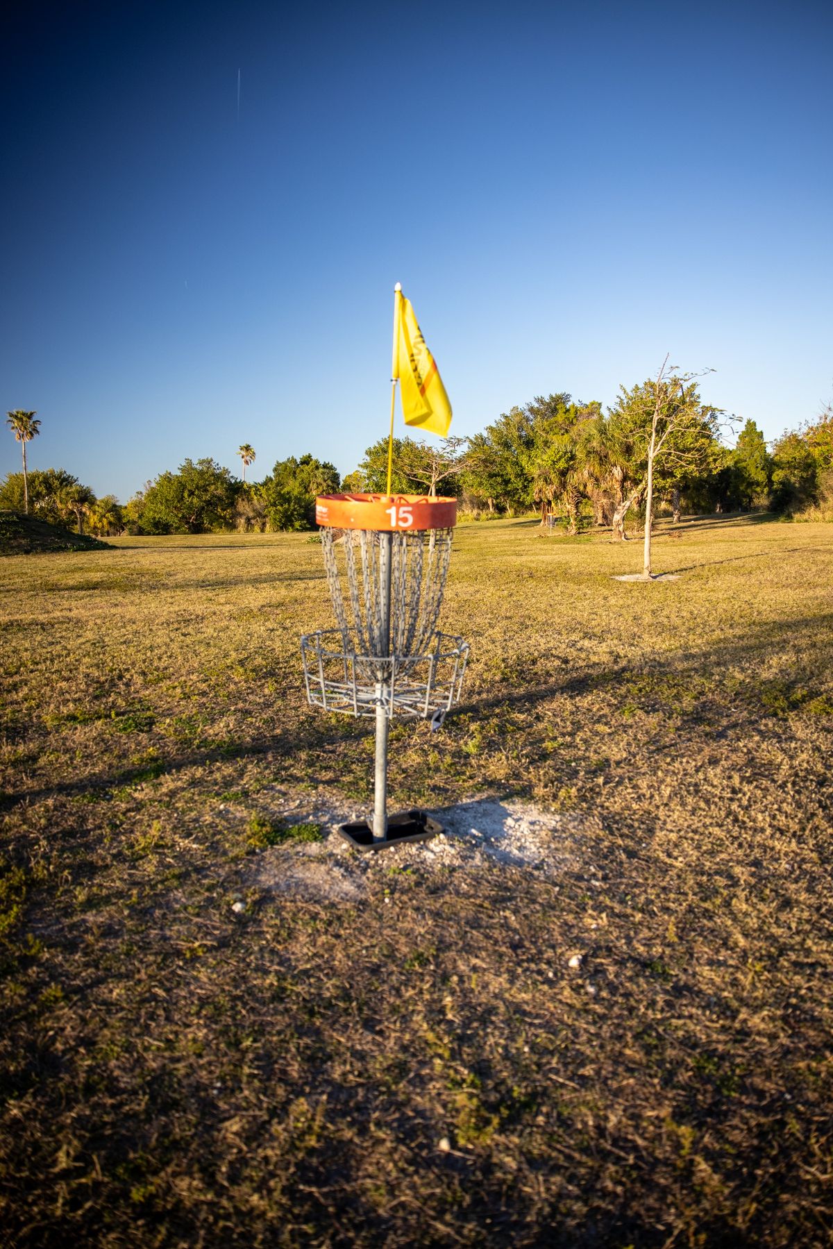 Hole 15 basket.