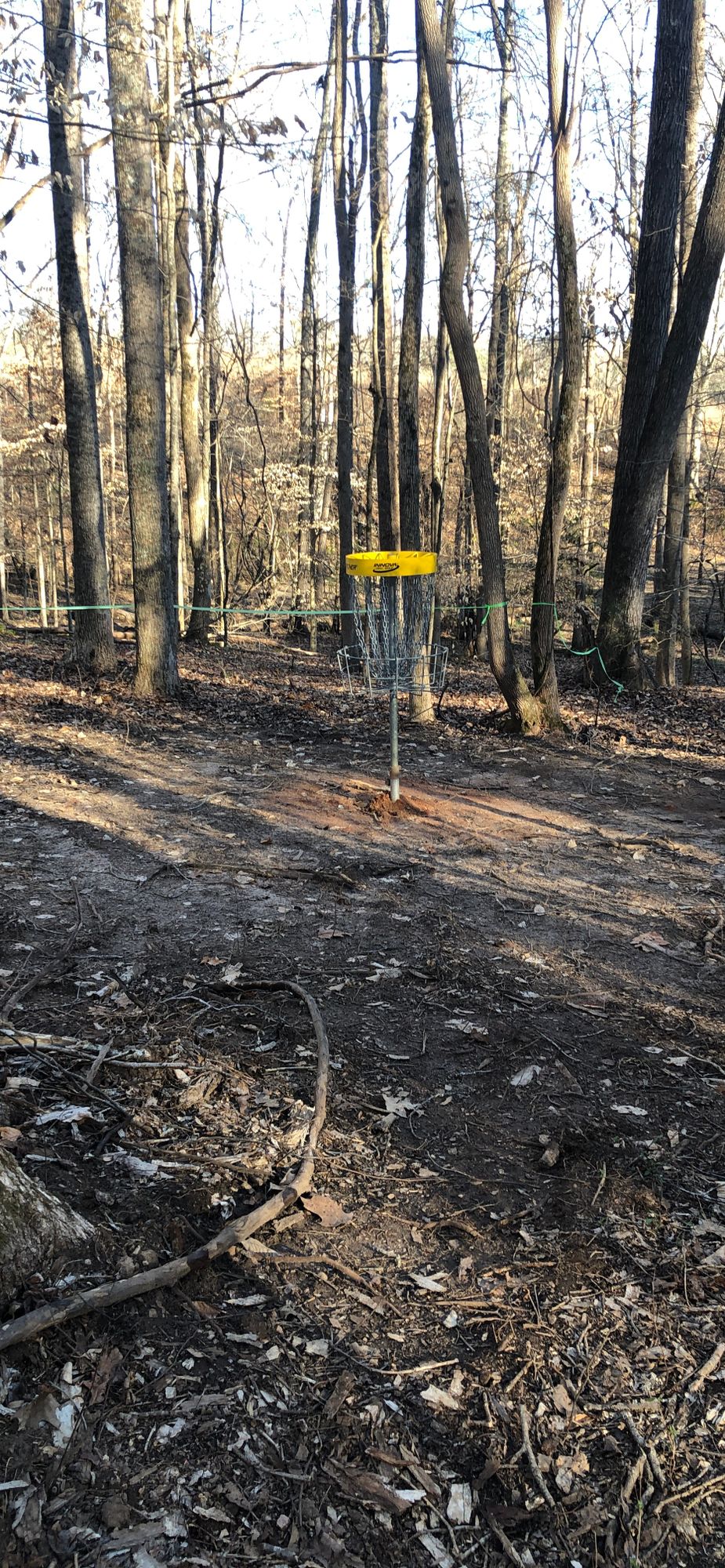 Hole 7 Basket