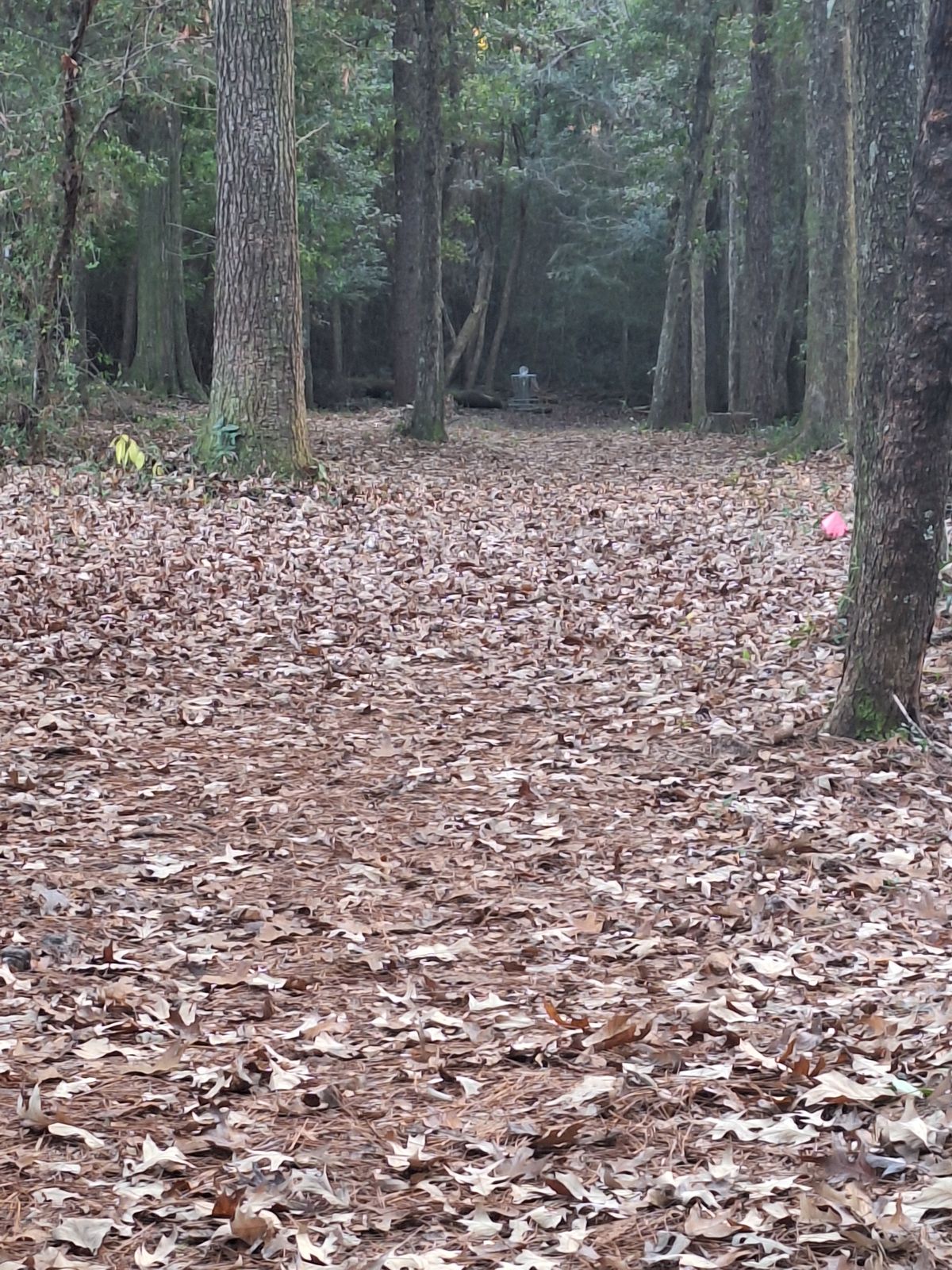 Straight and narrow, downhill.