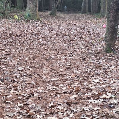 Straight and narrow, downhill.