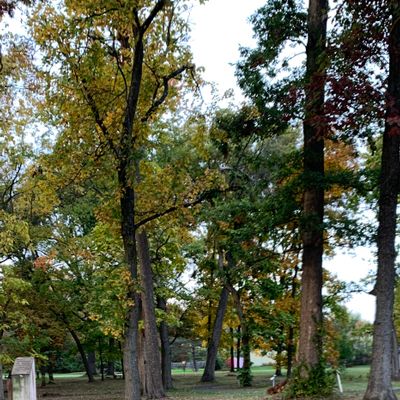 Hole 1 - Off the dirt tee box