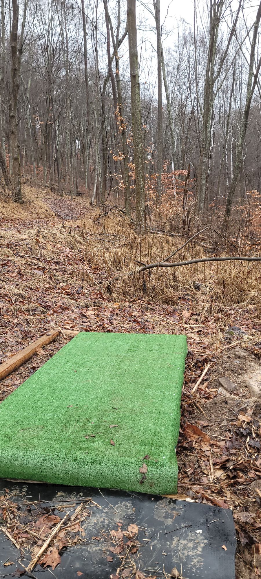 Hole 4
