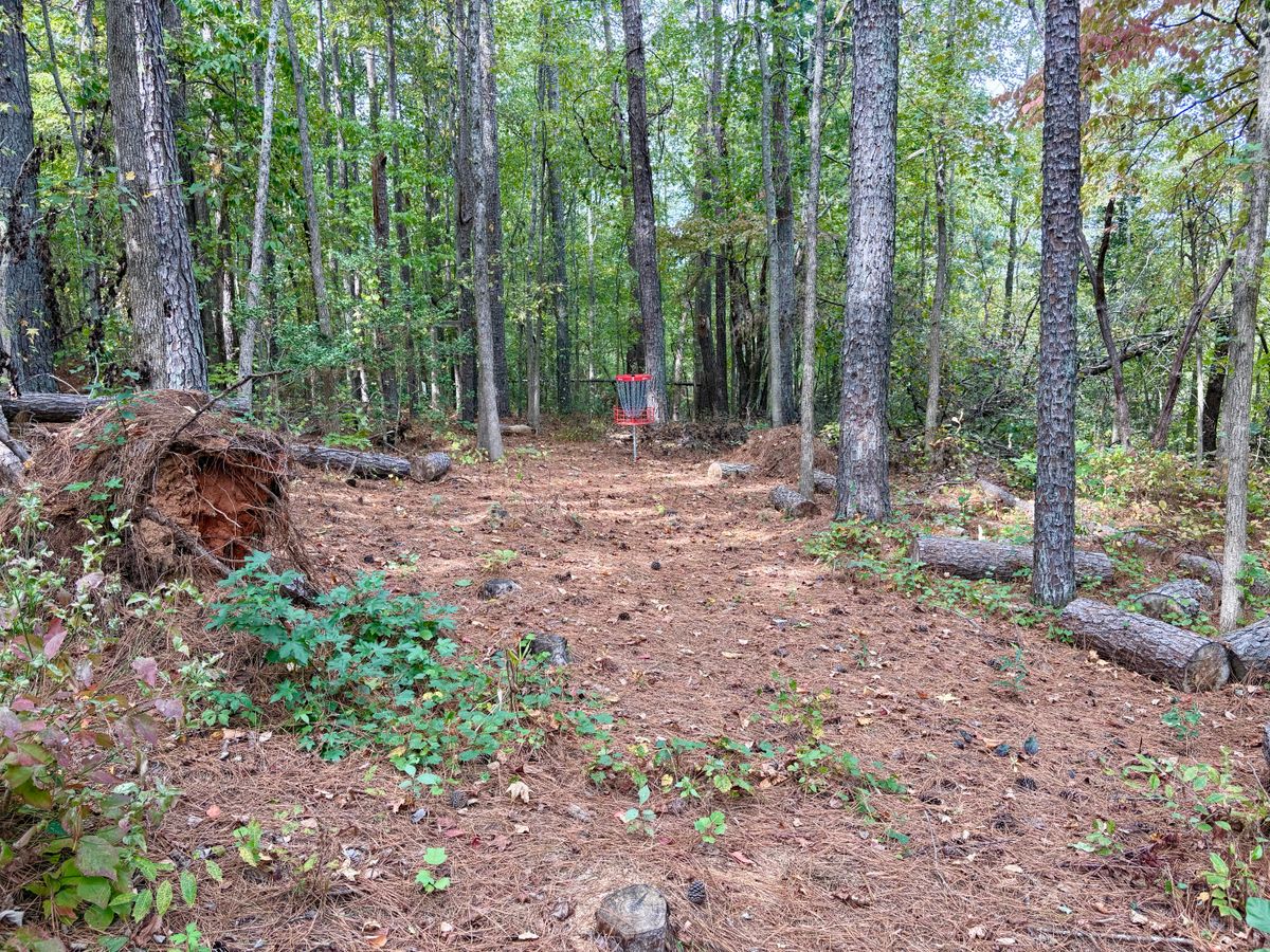 Hole 6 approach
