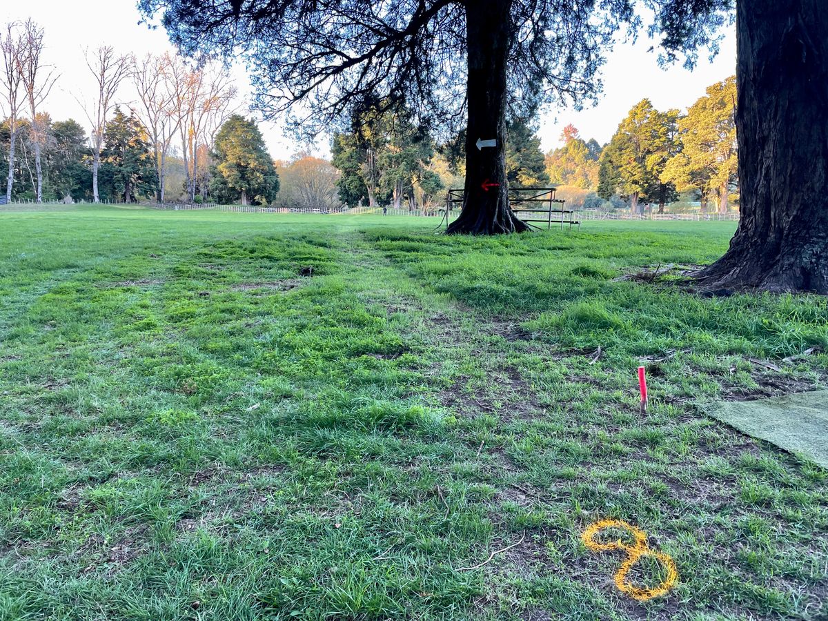 Hole 8 tournament but regular Hole 9