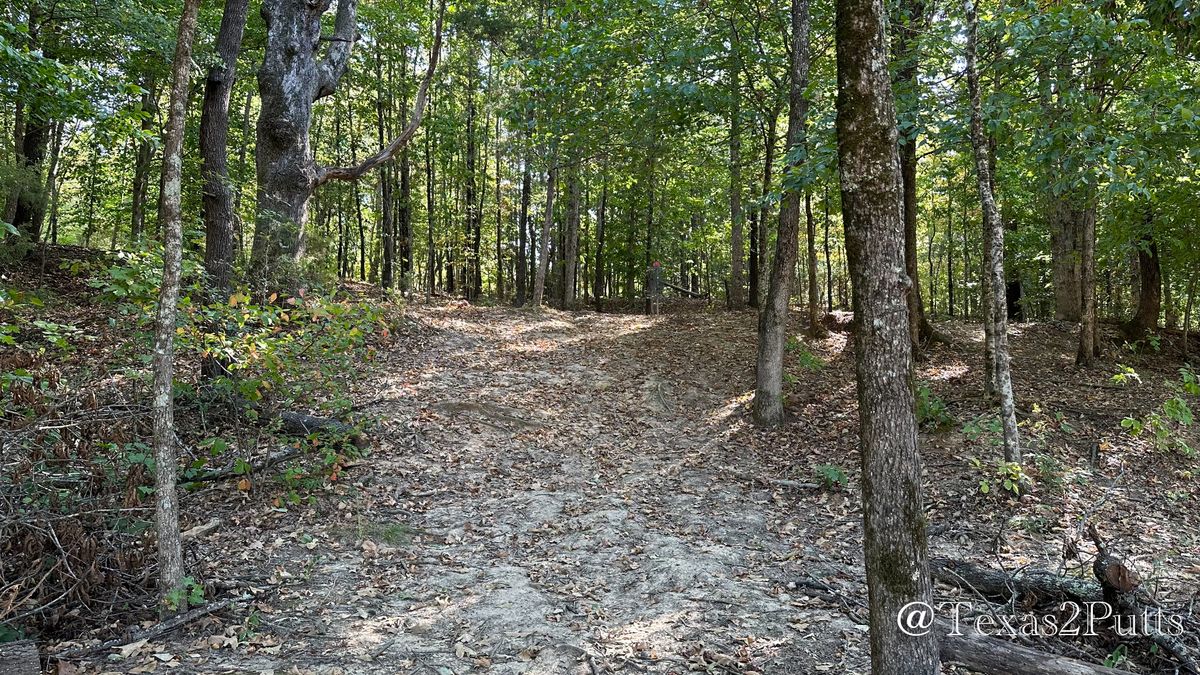 Hole 15: Uphill to the basket