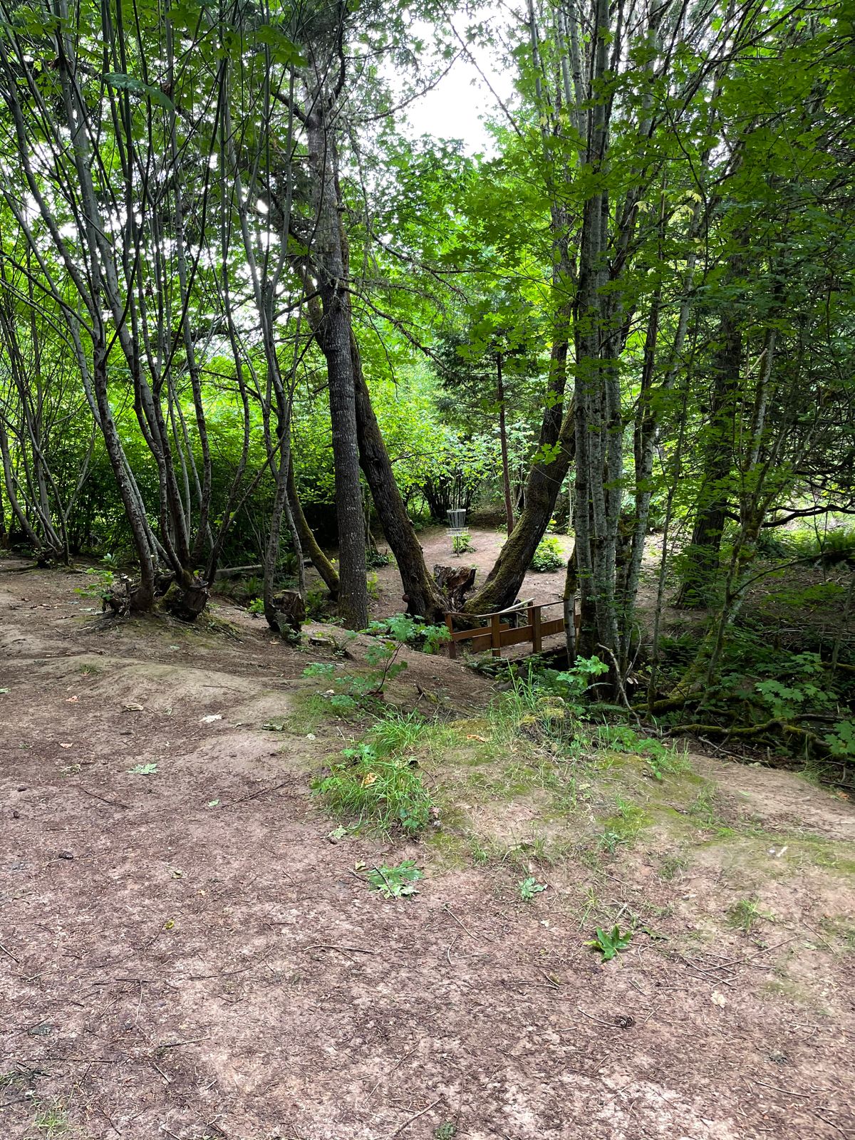 Hole 3