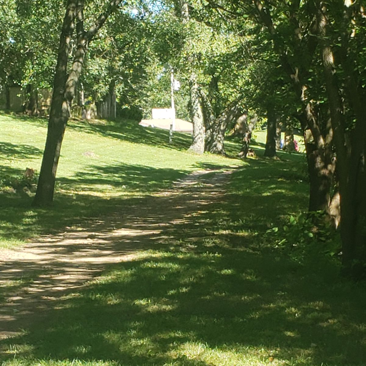 Hole 3