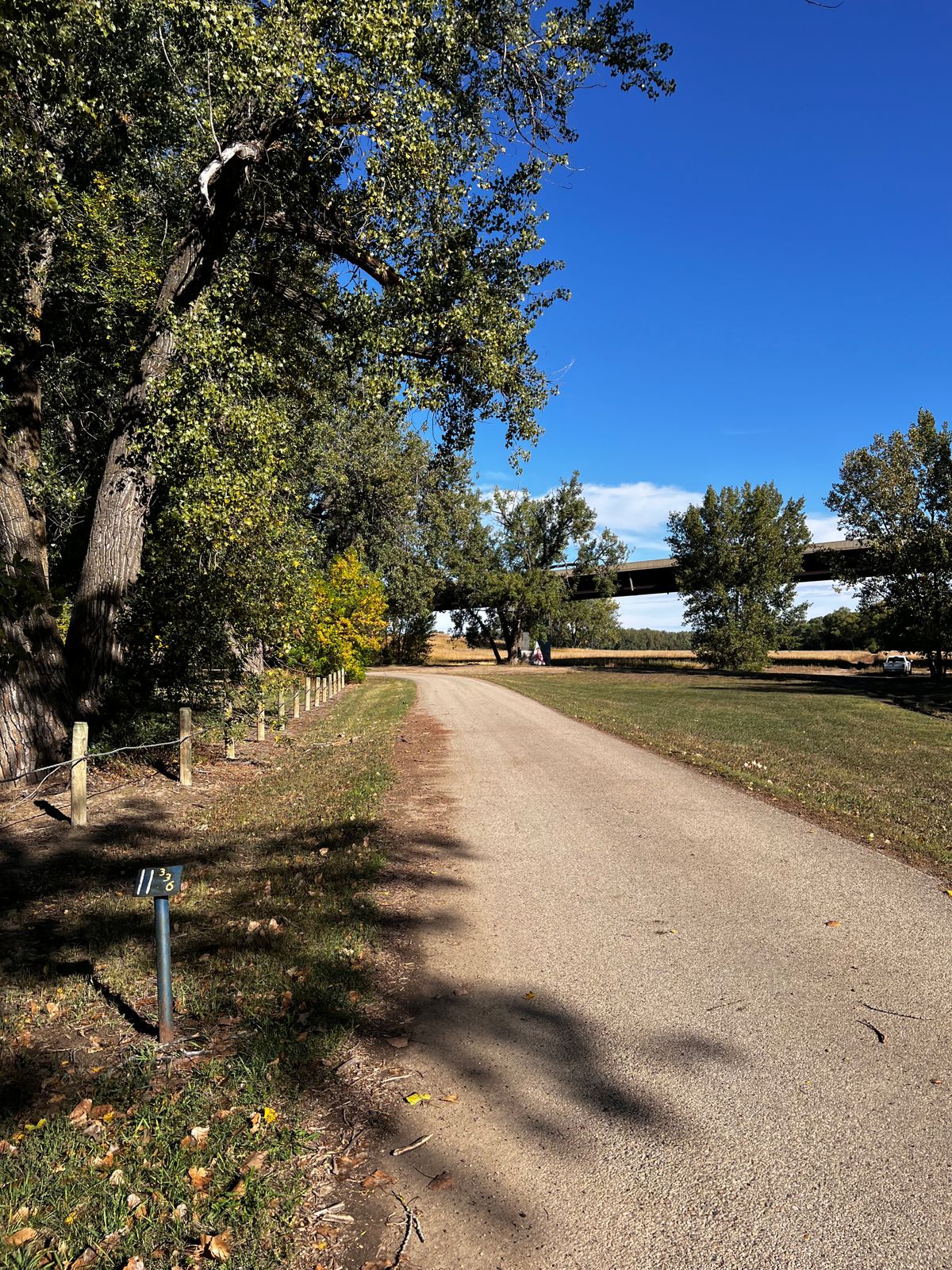 Tee 11