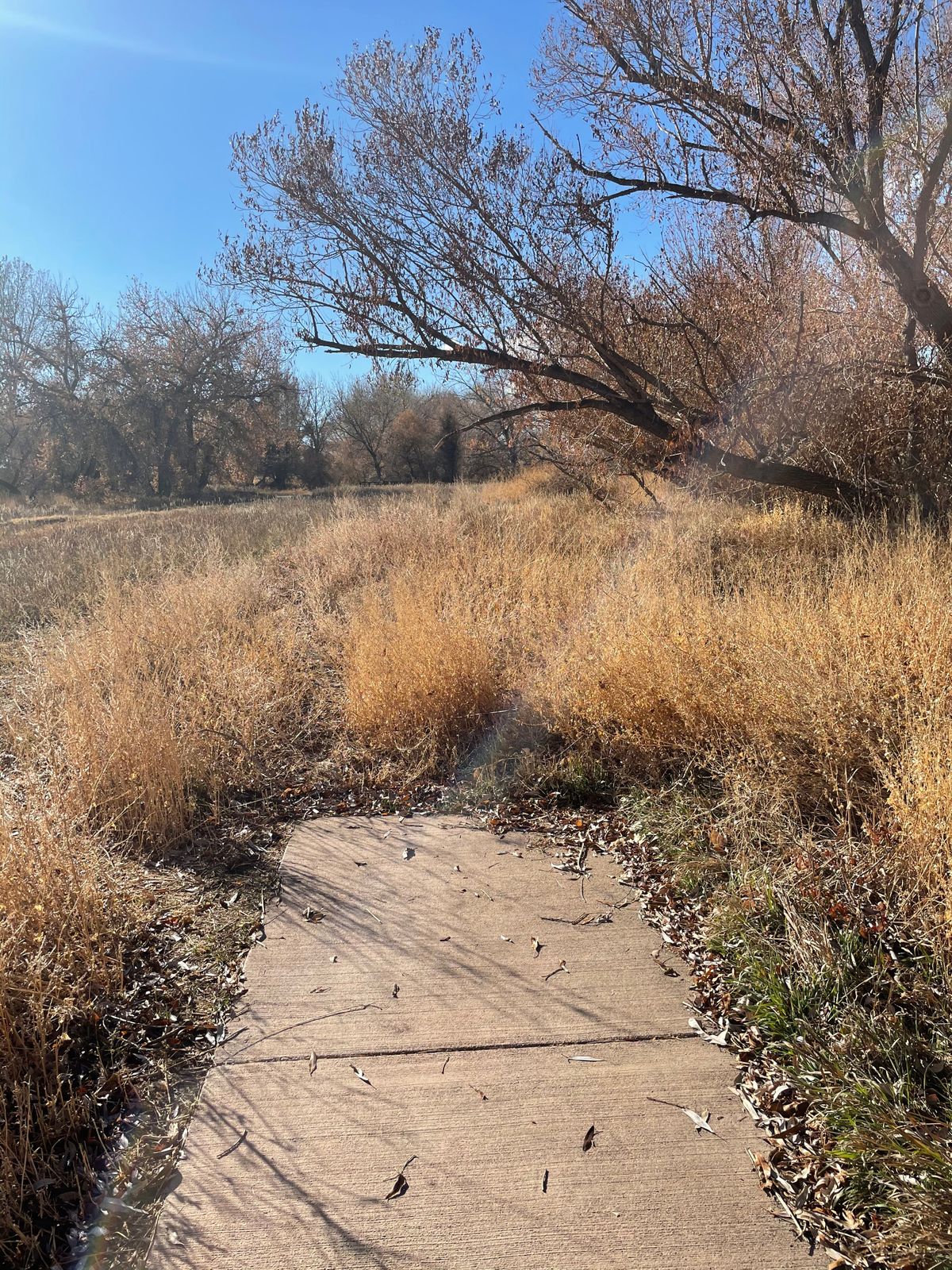 Hole 4 dogleg right