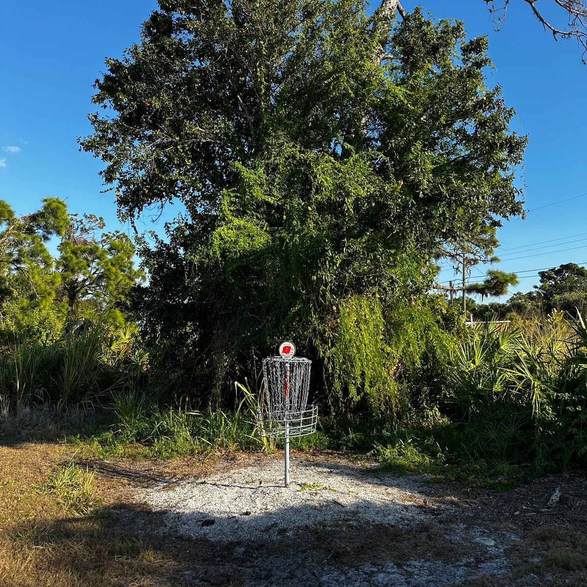 Current basket location 10/2025