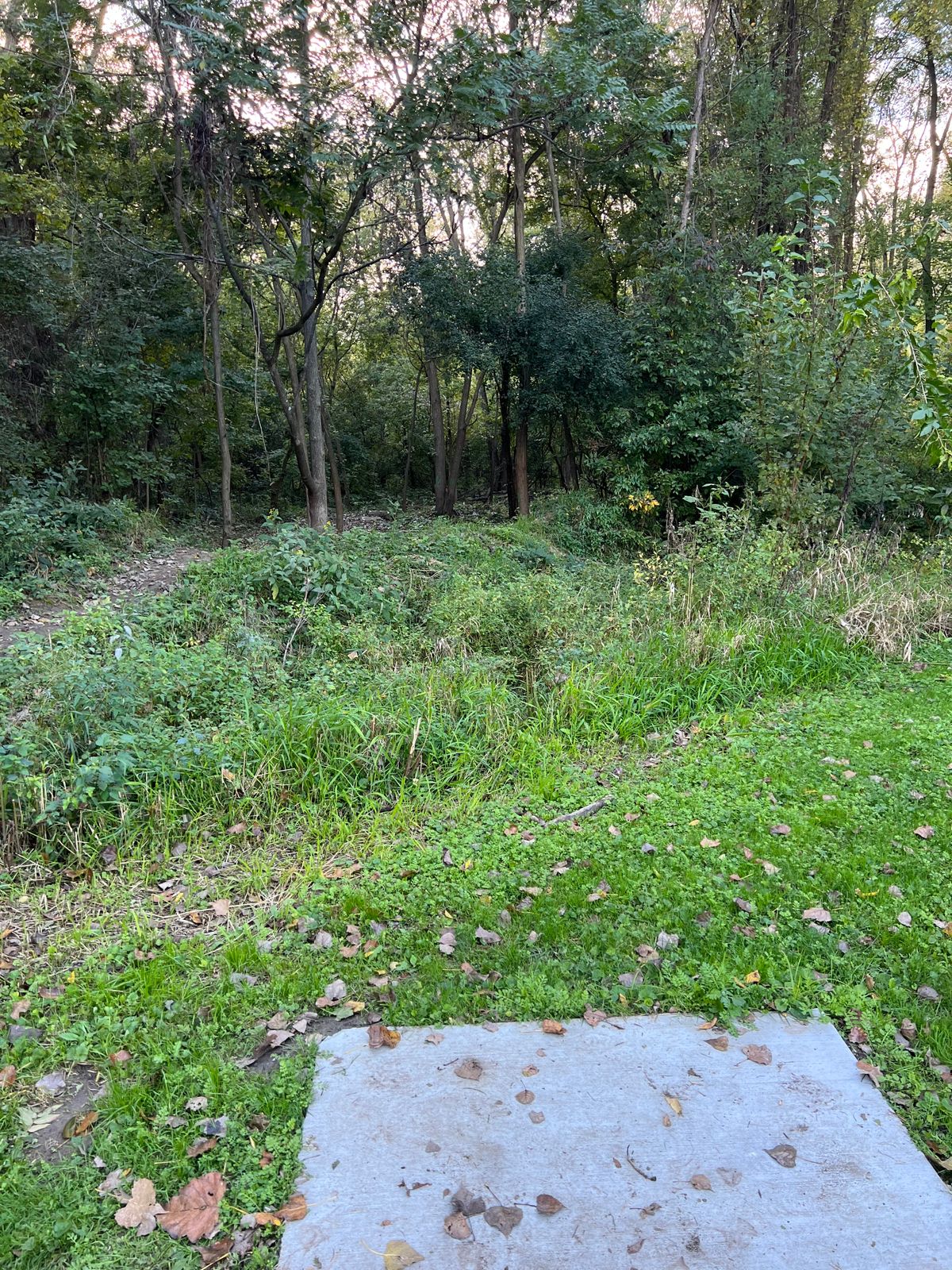 Hole 7 view from tee