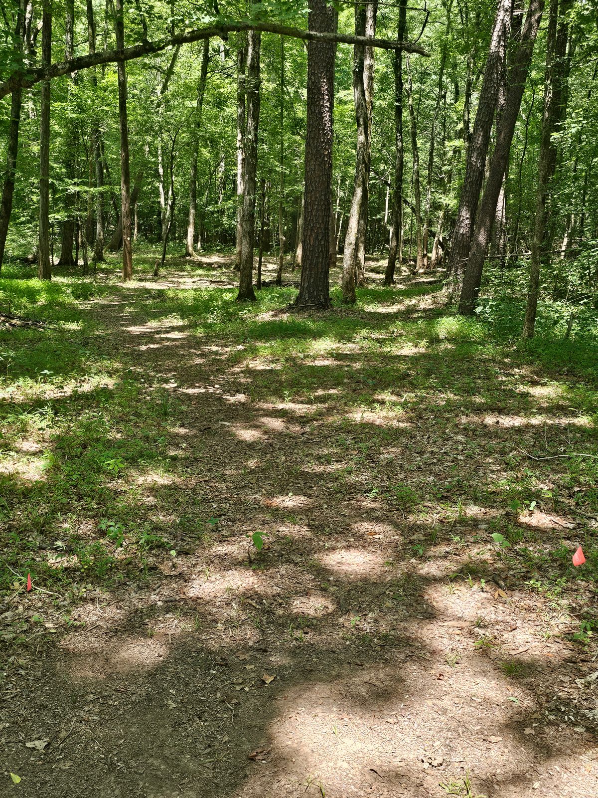 Hole 8