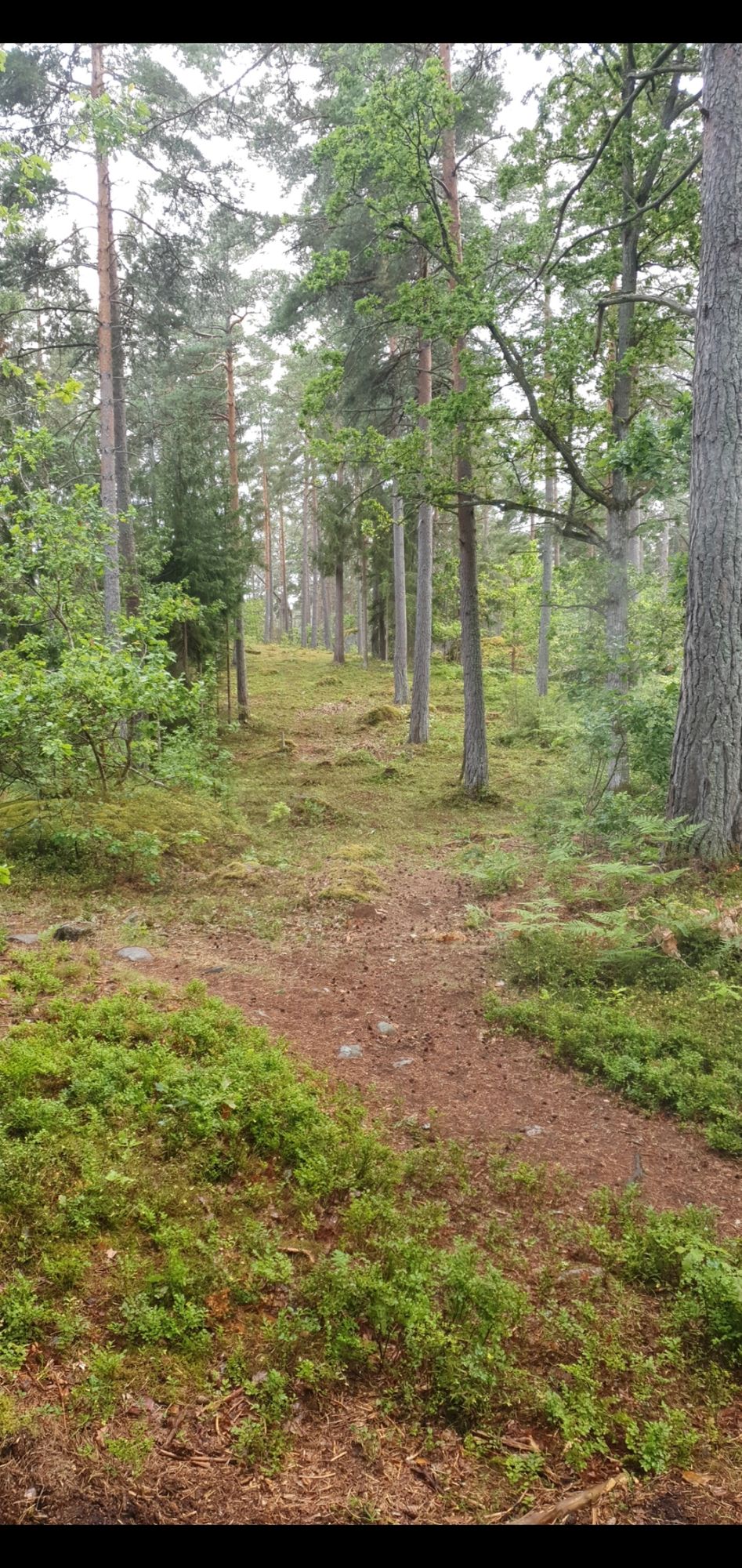 Tee hål 4
