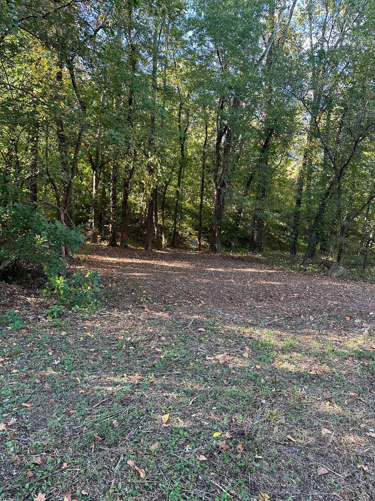 Hole 8