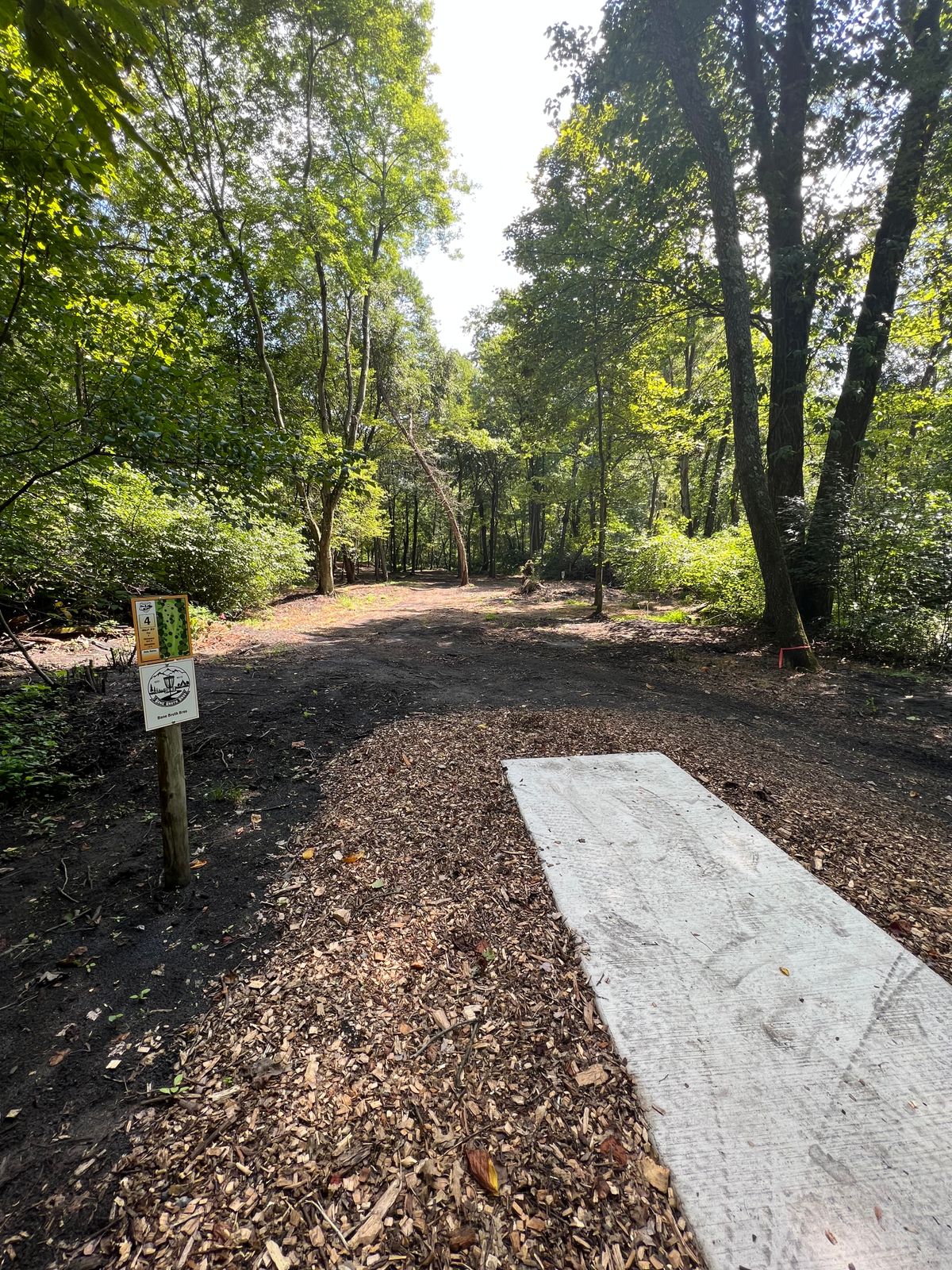 Hole 4. Fun one