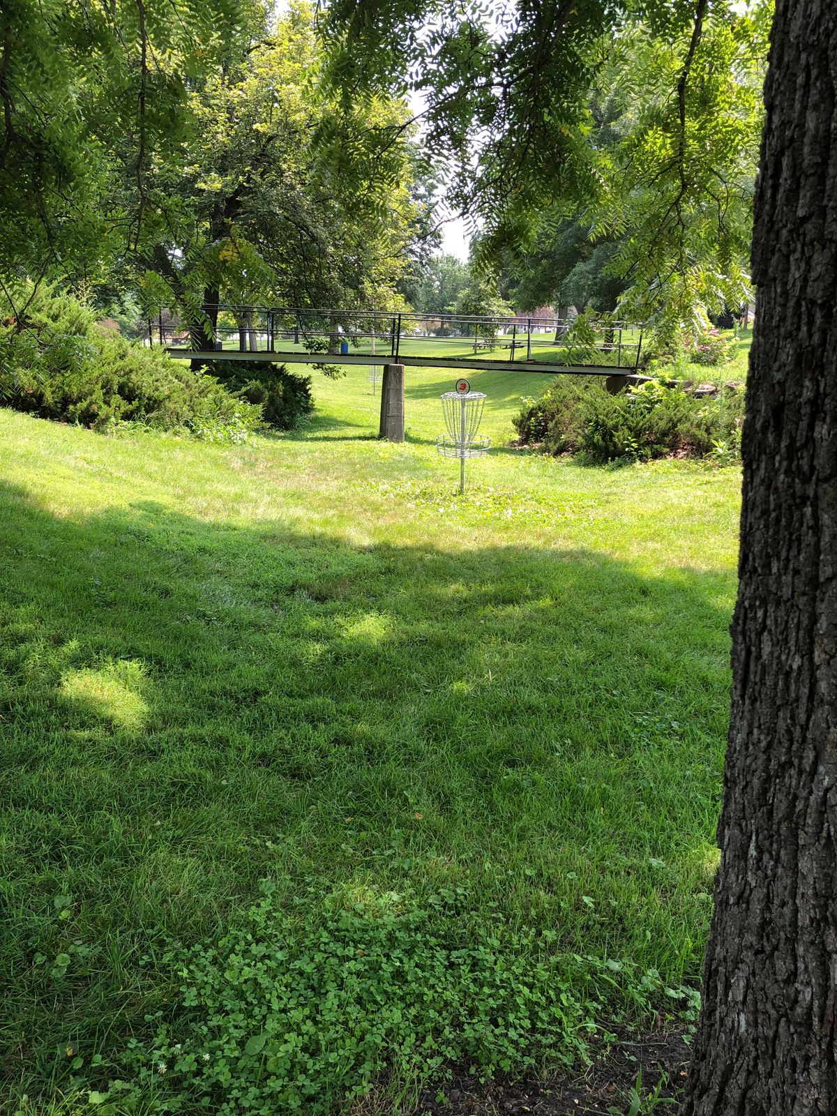 Hole 3 basket