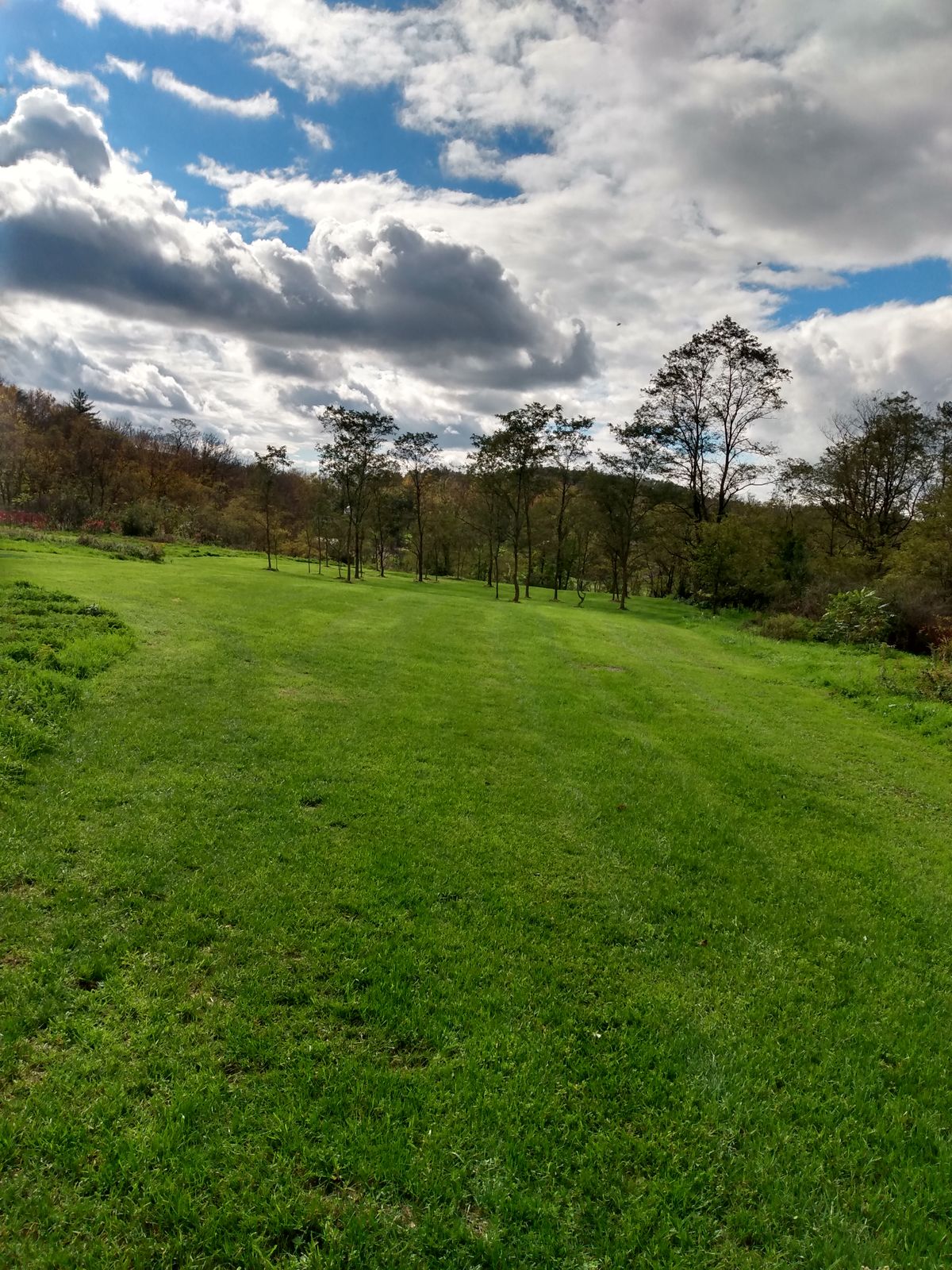 Fairway of hole 4