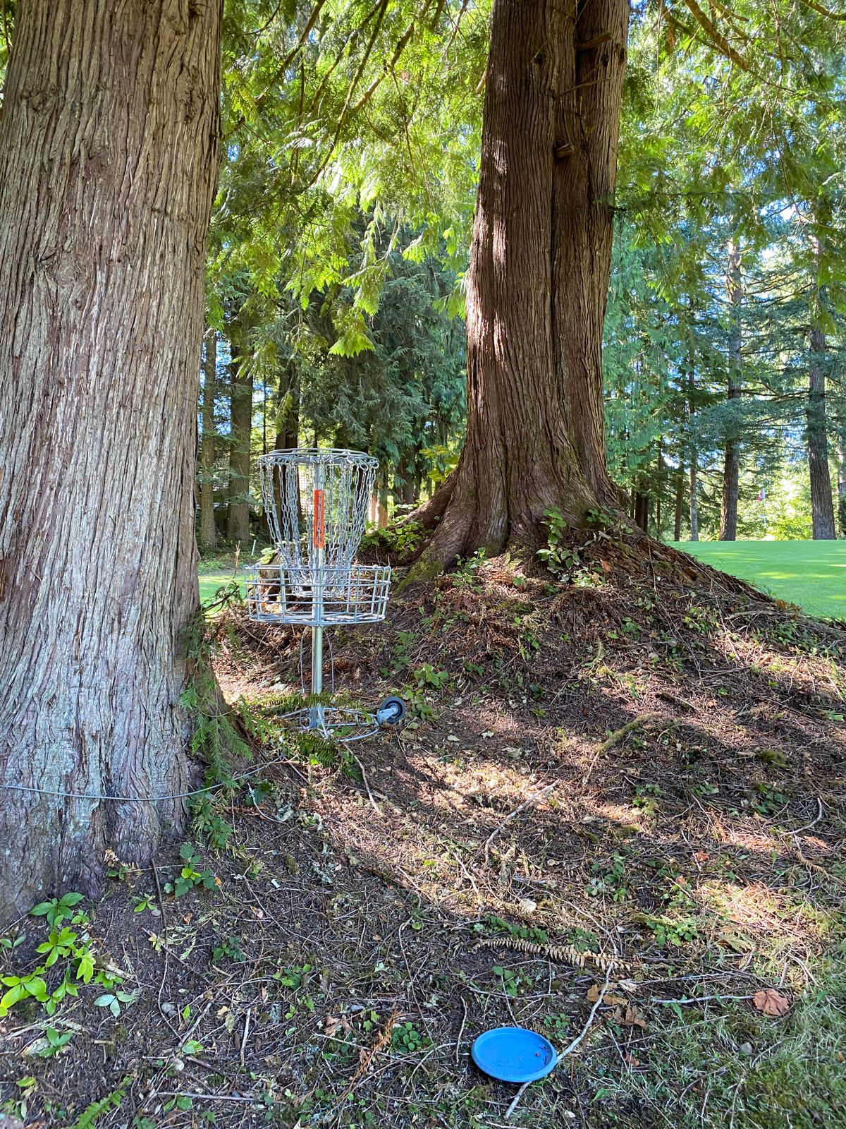 Creative pin placement on Hole 15.