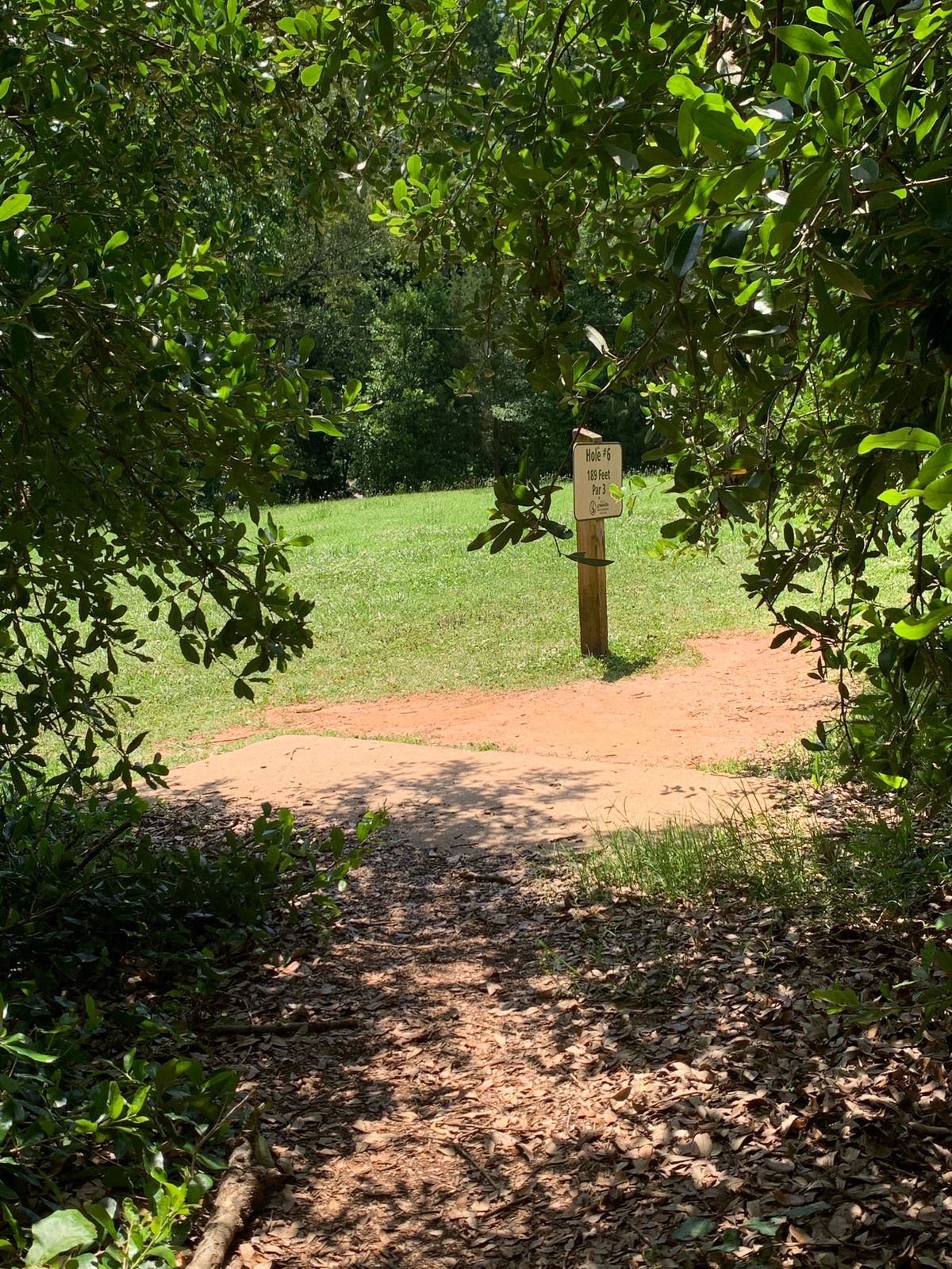 Tee Pad Basket 6