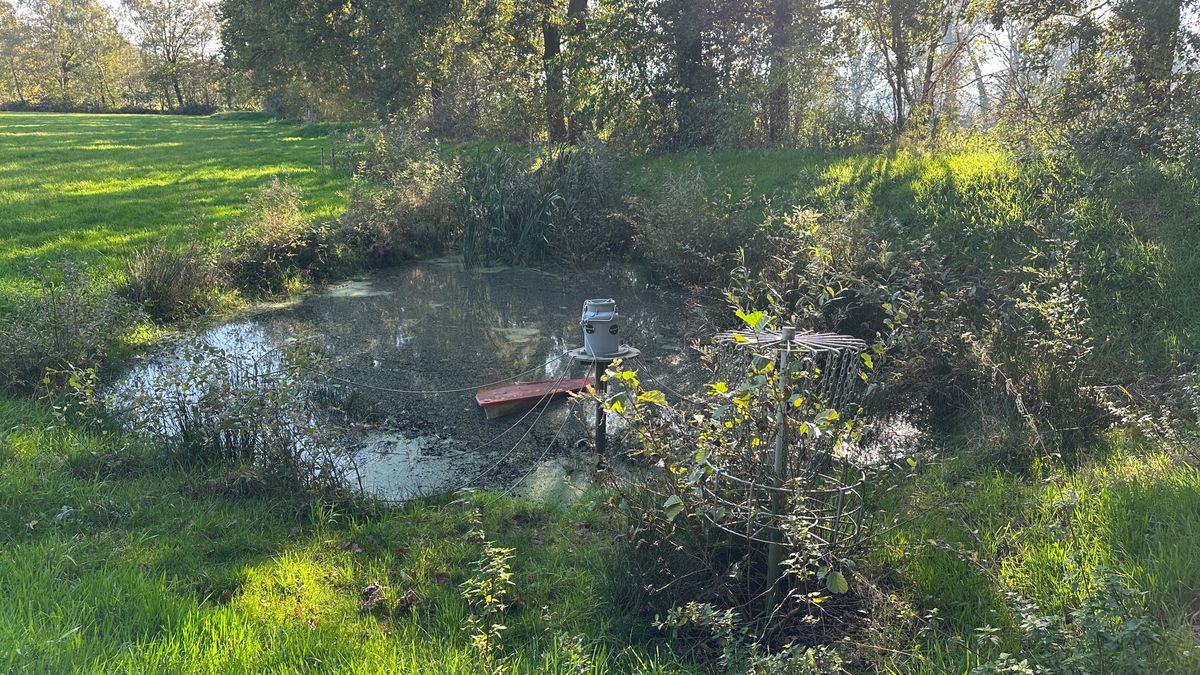 Hole 7