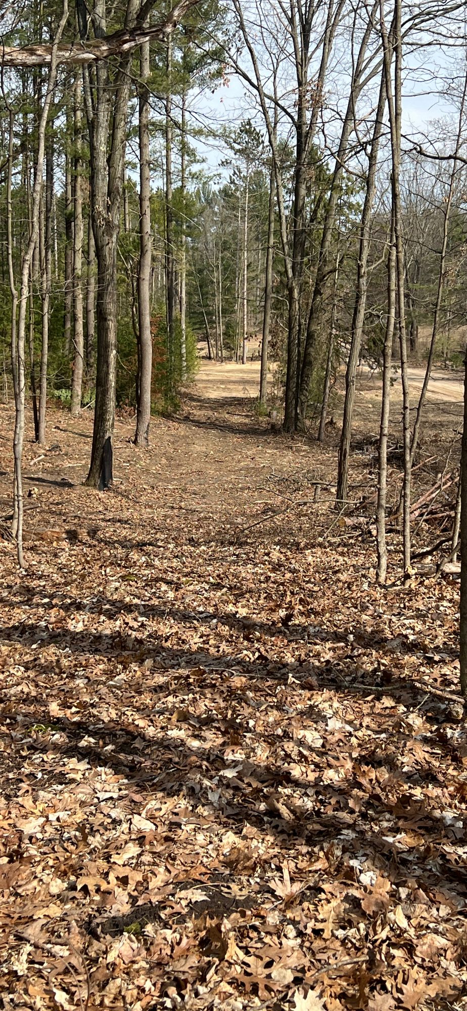Hole 1 from the Pin looking down towards the Tee